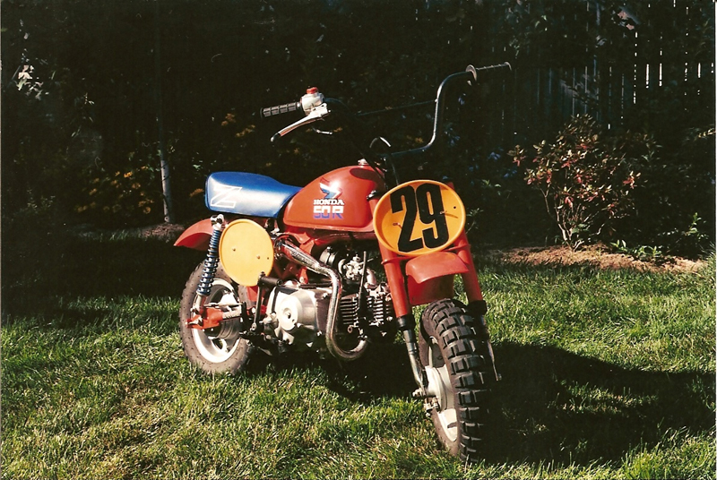 yard bikes 10003