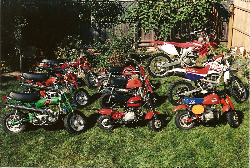 yard bikes 10004