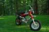 enzobikepics026_small.jpg