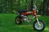 enzobikepics027_small.jpg