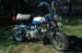 1969z50ak1rtsidet