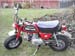 RedZ50